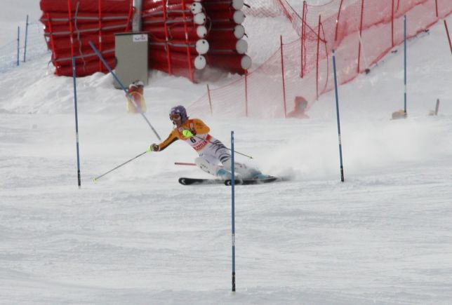 riesch0201.jpg